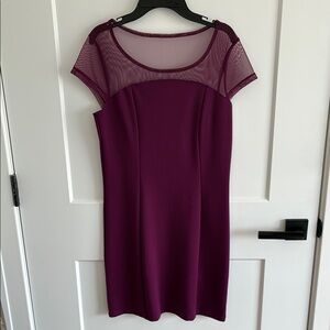 Elegant Purple Dress with Mesh Neckline